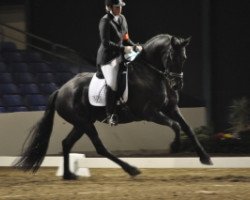 dressage horse Ykje Evelien R (Friese, 2007, from Ymte 407)