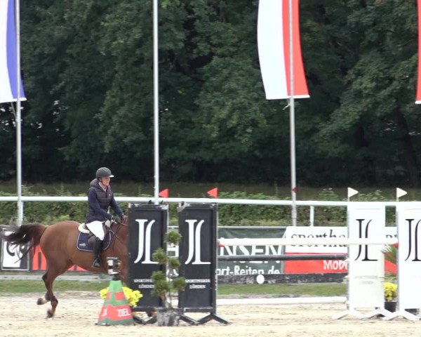 Late Entry Springturnier Verden 2022