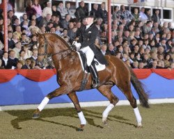 dressage horse Jazz Rubin (Oldenburger, 2002, from Jazzman)