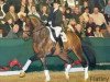 stallion Flatley 2 (Rhinelander, 2004, from Fürst Piccolo)