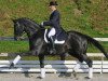 dressage horse Dramatic (Hanoverian, 2002, from Don Frederico)