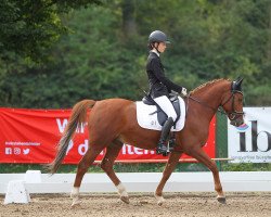 dressage horse Capri (Deutsches Reitpony, 2016, from Chantre 31)