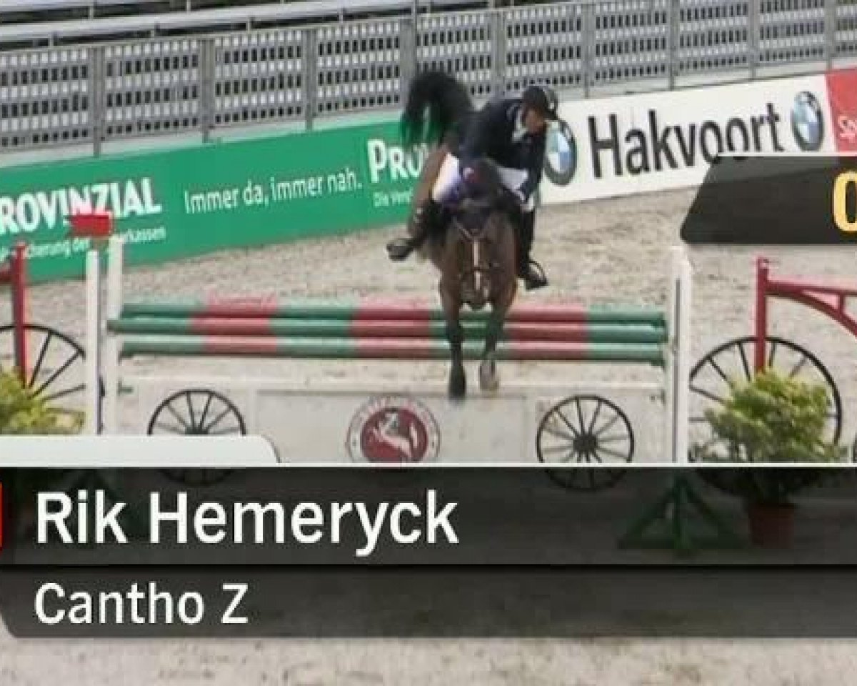 Springpferd Cantho Z (Zangersheide Reitpferd, 2000, von Cumano)
