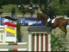 jumper Cancoon 2 (Oldenburg show jumper, 2005, from Cartoon)