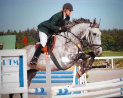 Pferd Blanemore Ben (Irish Sport Horse, 2000, von Ben Calverstown)