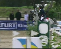 Zuchtstute Erica van 't Palmenhof (Belgisches Warmblut, 2004, von Darco)