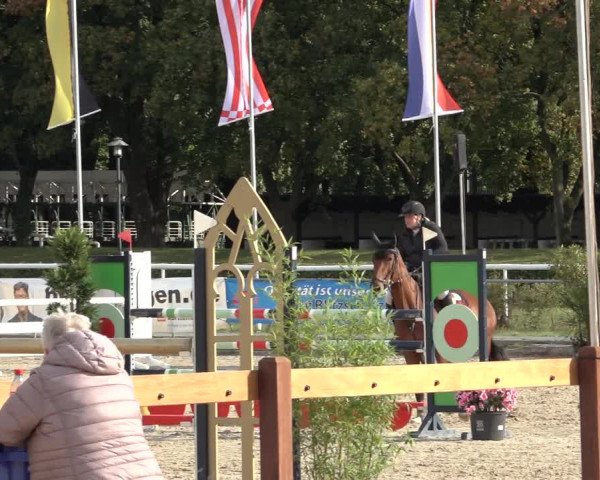Late Entry Springturnier Verden 2022