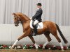 dressage horse Ein und Alles (Westphalian, 2008, from Ehrenstolz)