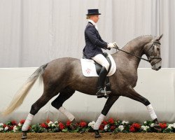 Springpferd Coolman van Alfen (Westfale, 2007, von Colman)