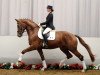 dressage horse Ron Cavalli (Westphalian, 2008, from Riccio)