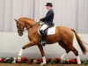 dressage horse Fleurieu (Westphalian, 2008, from Fleury)