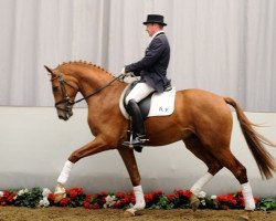 dressage horse Fleurieu (Westphalian, 2008, from Fleury)