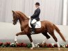 Dressurpferd Diamond Passion (Westfale, 2007, von Diamond Hit)