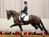 dressage horse Ravel (Westphalian, 2008, from Riccio)