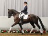 dressage horse Roccadero (Westphalian, 2008, from Royal Rhythmik)