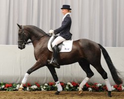 dressage horse Roccadero (Westphalian, 2008, from Royal Rhythmik)