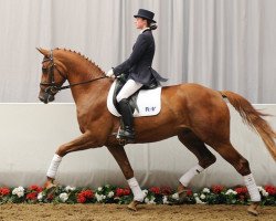 dressage horse Larry Labond (Rhinelander, 2008, from Lord Loxley I)