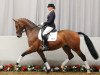 dressage horse Rock my Life (Westphalian, 2008, from Rock Forever NRW)