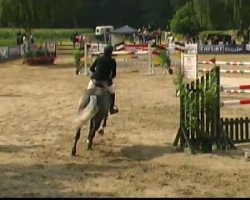 Springpferd Can Fly So High (Lettisches Warmblut, 2004, von Gardegeneral)