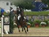 jumper Enton (Hanoverian, 1996, from Escudo I)