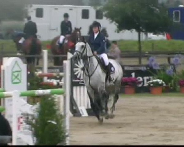 jumper Limaro (Swedish Warmblood, 2001, from Camaro M)