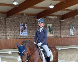 dressage horse C-Jonny Blue (German Riding Pony, 2005, from Menai Consultant)