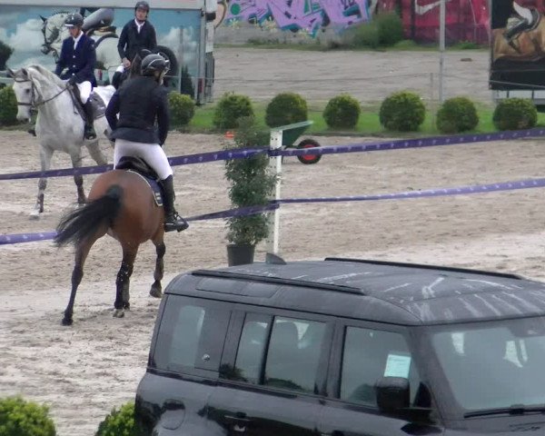 Reitturnier Basel Schänzli 2022