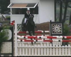 jumper Lorofino (Hessian Warmblood, 2000, from Lord Caletto)