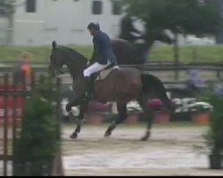 jumper Höjrupgaards Locomotion (Danish Warmblood, 2002, from Aston)