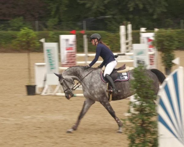 Reitturnier Böblingen 2022