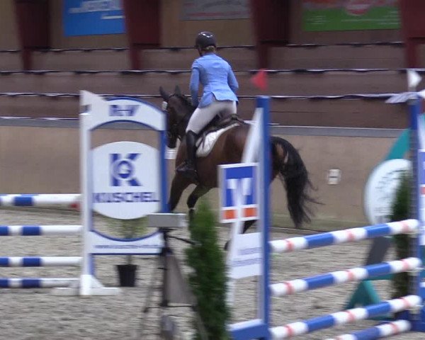 Behrendorfer Reitertage 2022