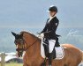 dressage horse Evelien 4 (Dutch Pony, 2010)