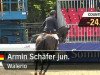 jumper Walerio 5 (Hanoverian, 2001, from Wolkentanz I)