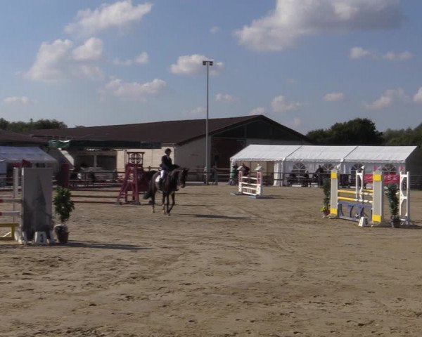 Reitturnier Kamen 2022