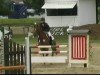 Springpferd Mouthage's Malik (Welsh Pony (Sek.B), 2002, von Bokkesprong Casjmier)