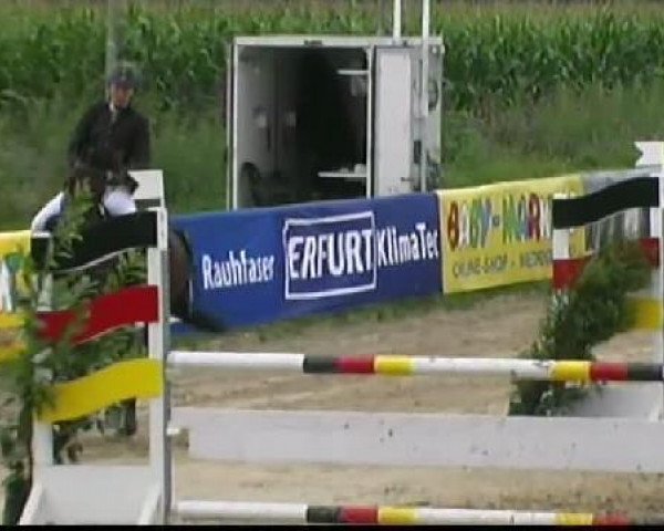 jumper Leopold 179 (Oldenburg, 2001, from Lanciano)
