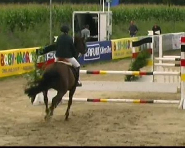 dressage horse Fabienne 445 (Hanoverian, 2002, from Falsterbo)