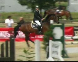 jumper Coro Piana (Holsteiner, 2002, from Coriano)