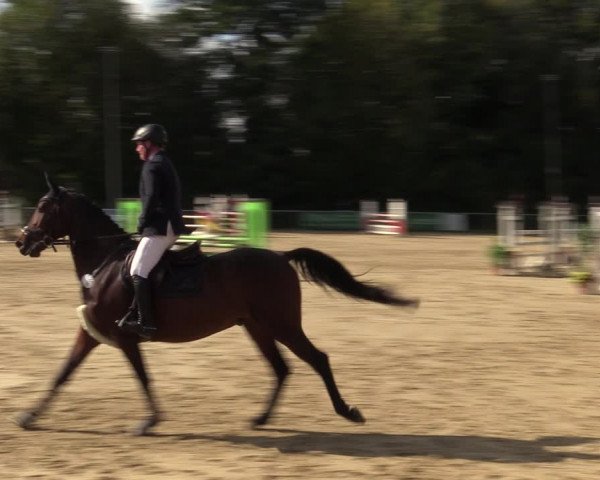Reitturnier Kamen 2022