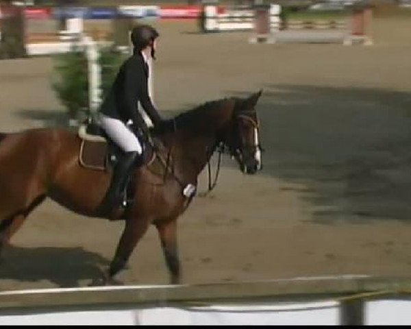 horse Remember me 39 (Hanoverian, 2001, from Rickmer)