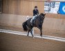 dressage horse Rubin Delcento (Westphalian, 2008, from Rubitano)