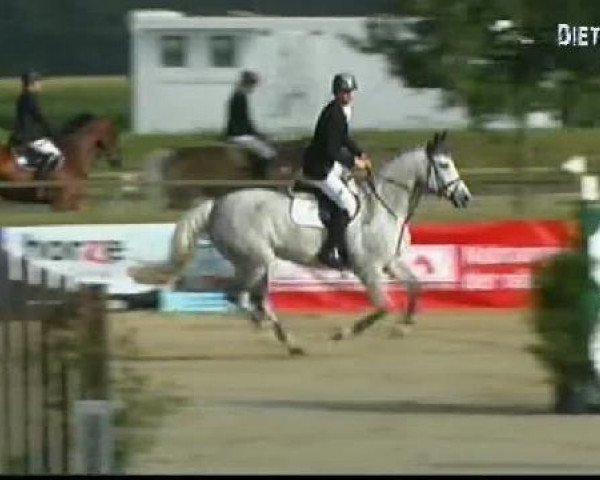 dressage horse Philine 22 (Westphalian, 2002, from Popcorn)