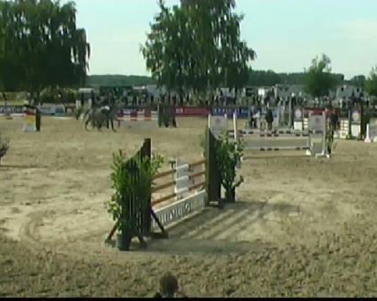 broodmare Chilly 10 (Westphalian, 2006, from Calato)