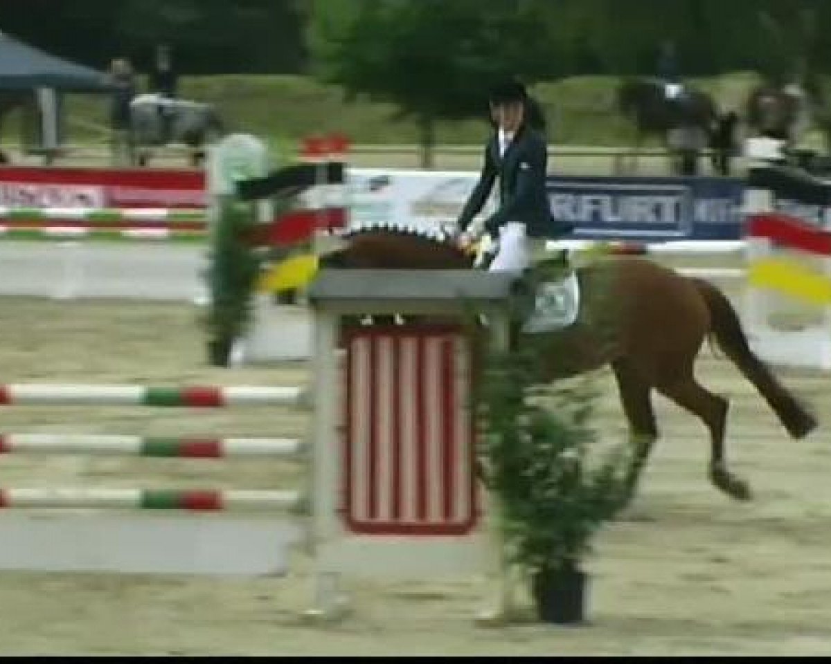 jumper Viola C (Holsteiner, 2005, from Corrado I)
