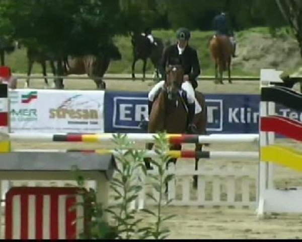jumper Abasourdissant (KWPN (Royal Dutch Sporthorse), 2005, from Marlon)