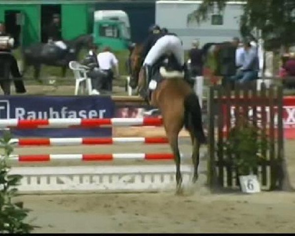Pferd Caranti (Holsteiner, 2006, von Canturo)