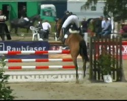 jumper Caranti (Holsteiner, 2006, from Canturo)