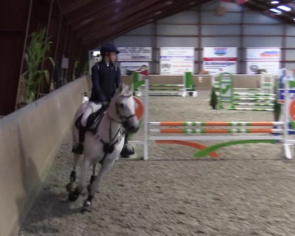 Behrendorfer Reitertage 2022