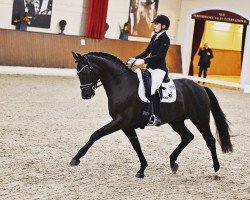 dressage horse Mr. Lova Lova (Oldenburg, 2017, from Morricone)