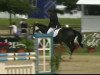 jumper Caspar (Hanoverian, 2006, from Contendro I)